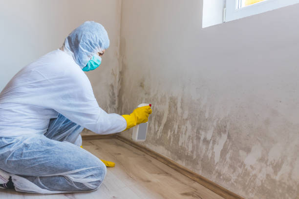 Hvac And Air Duct Mold Remediation inspection of HVAC system in Grand Rapids